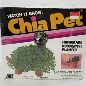 Vintage 1983 Dinosaur Chia Pet Handmade Planter